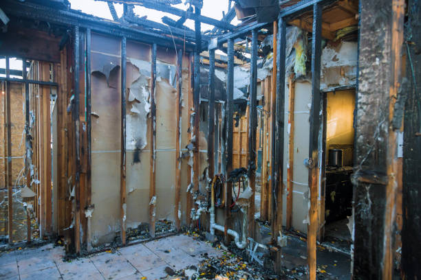 Professional Structural Rebuild technician working in Kingston, WA
